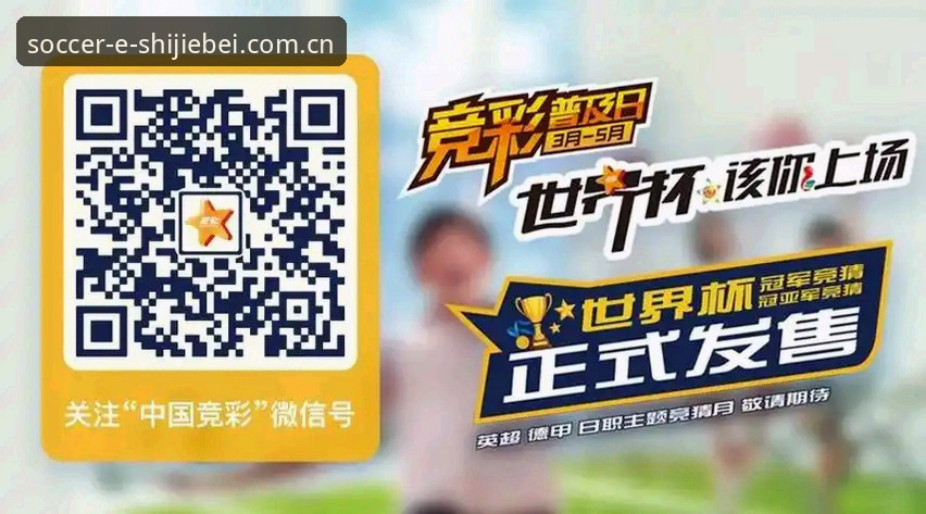 资深用户分享世界杯投注平台下载攻略：从安装到实战的完整心得